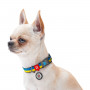 Нашийник для собак нейлоновий WAUDOG Nylon з QR-паспортом, малюнок "Colors of freedom", пластиковий фастекс