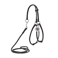 Кругла шкіряна шлея з повідцем та QR паспортом WAUDOG Soft для собак і котів Чорна