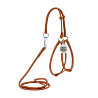 Кругла шкіряна шлея з повідцем та QR паспортом WAUDOG Soft для собак і котів Коричнева