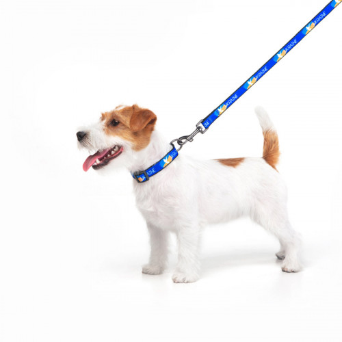 Поводок для собак нейлоновый WAUDOG Nylon, рисунок "Флаг", длина 122 см