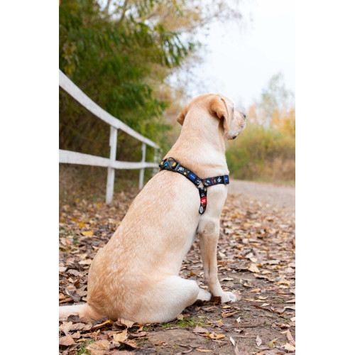 Шлея для собак WAUDOG Nylon з QR паспортом «NASA», пластиковий фастекс