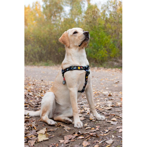 Шлея для собак WAUDOG Nylon з QR паспортом «NASA», пластиковий фастекс