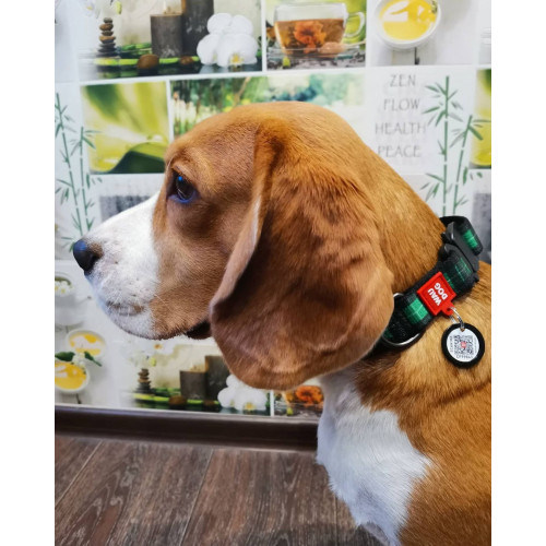 Ошейник для собак нейлоновый WAUDOG Nylon c QR паспортом, рисунок "Этно зеленый", металлический фастекс