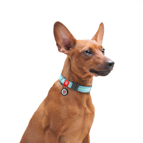 Світлонакопичувальний нейлоновий нашийник для собак WAUDOG Nylon блакитного кольору, металевий фастекс