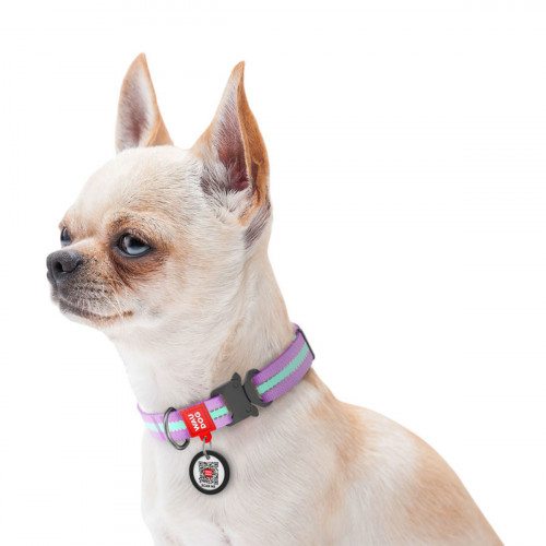 Світлонакопичувальний нейлоновий нашийник для собак WAUDOG Nylon фіолетового кольору, металевий фастекс