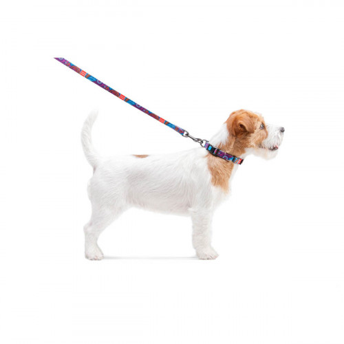 Поводок для собак нейлоновый WAUDOG Nylon, рисунок "Лето", длина 122 см