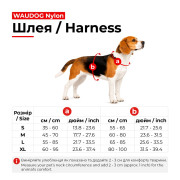 Шлея для собак безопасная WAUDOG Nylon с QR-паспортом, металлическая пряжка-фастекс, черная с голубым - фото 2
