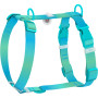 Шлея для собак анатомічна Н-подібна WAUDOG Nylon Recycled "Градієнт Блакитний"