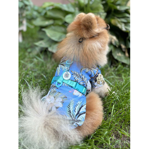 Шлея для собак анатомічна Н-подібна WAUDOG Nylon Recycled "Градієнт Блакитний"