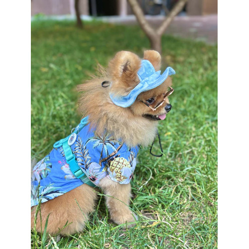 Шлея для собак анатомічна Н-подібна WAUDOG Nylon Recycled "Градієнт Блакитний"