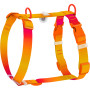 Шлея для собак анатомічна Н-подібна WAUDOG Nylon Recycled "Градієнт Помаранчевий"