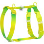 Шлея для собак анатомічна Н-подібна WAUDOG Nylon Recycled "Градієнт Салатовий"