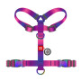 Шлея для собак анатомічна Н-подібна WAUDOG Nylon Recycled "Градієнт Фіолетовий"