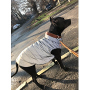 Куртка-жилет для собак WAUDOG Clothes Світловідбивна Сіра - фото 5