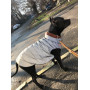 Куртка-жилет для собак WAUDOG Clothes світловідбивна