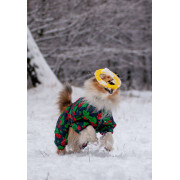 Комбинезон для собак WAUDOG Clothes с рисунком "Калина" - фото 8