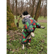Комбинезон для собак WAUDOG Clothes с рисунком "Калина" - фото 10