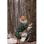 Комбинезон для собак WAUDOG Clothes с рисунком "Калина" - фото 5
