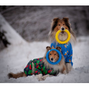 Комбинезон для собак WAUDOG Clothes с рисунком "Калина" - фото 7