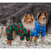Комбинезон для собак WAUDOG Clothes с рисунком "Калина" - фото 6