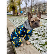 Комбинезон для собак WAUDOG Clothes с рисунком "Дом" - фото 9