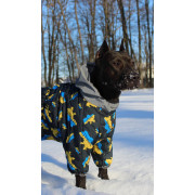 Комбинезон для собак WAUDOG Clothes с рисунком "Дом" - фото 15