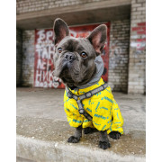 Комбинезон для собак WAUDOG Clothes с рисунком "Смелость" - фото 5