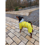Комбинезон для собак WAUDOG Clothes с рисунком "Смелость" - фото 6