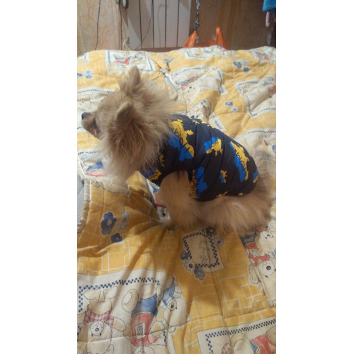 Куртка-жилет для собак WAUDOG Clothes с рисунком "Дом"