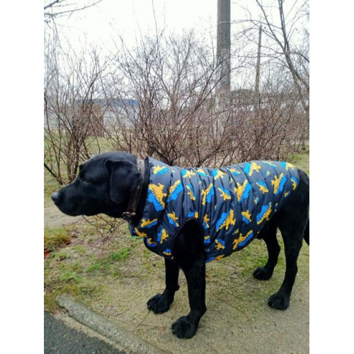 Куртка-жилет для собак WAUDOG Clothes з малюнком "Дім"