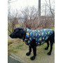 Куртка-жилет для собак WAUDOG Clothes з малюнком "Дім"