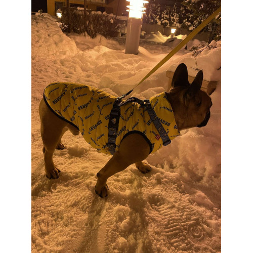 Куртка-жилет для собак WAUDOG Clothes з малюнком "Сміливість"