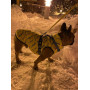 Куртка-жилет для собак WAUDOG Clothes с рисунком "Смелость"