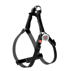 Шлея для котів та дрібних собак шкіряна WAUDOG Classic з QR паспортом Чорна