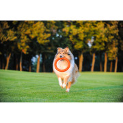 Игровое кольцо PitchDog оранжевое для собак WAUDOG - фото 5