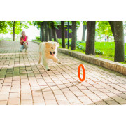 Игровое кольцо PitchDog оранжевое для собак WAUDOG - фото 7
