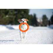 Игровое кольцо PitchDog оранжевое для собак WAUDOG - фото 9