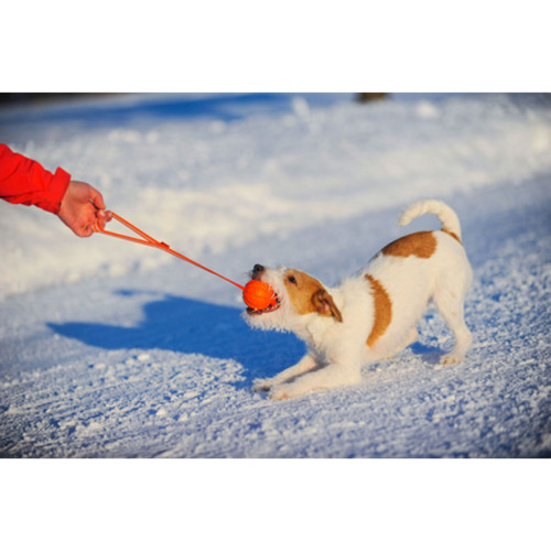 М'ячик ЛАЙКЕР Лайн на стрічці помаранчевий для собак WAUDOG