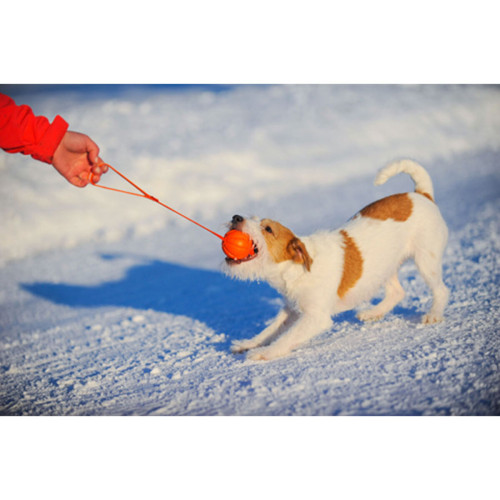 М'ячик ЛАЙКЕР Лайн на стрічці помаранчевий для собак WAUDOG