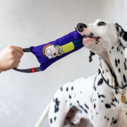 Іграшка з пищалкою WAUDOG Fun малюнок Рік та Морті 3 для собак WAUDOG - фото 9