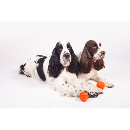 М'ячик ЛАЙКЕР плаваючий помаранчевий для собак WAUDOG