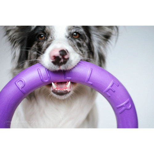 Тренировочный снаряд PULLER Standard фиолетовый для собак WAUDOG
