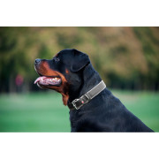Нашийник для собак "Waudog soft" шкіряний з QR-паспортом чорного кольору - фото 5