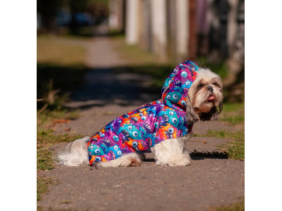 Осінні дощовики для собак - тренди 2025: топ-5 моделей від 4dog.com.ua