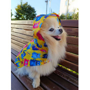 Дощовик-накидка для собак WAUDOG Clothes з капюшоном, малюнок «Мохнаті монстри» - фото 13