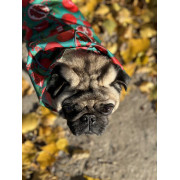 Дощовик-накидка для собак WAUDOG Clothes з капюшоном, малюнок «Гранати» - фото 7
