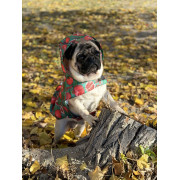 Дощовик-накидка для собак WAUDOG Clothes з капюшоном, малюнок «Гранати» - фото 8