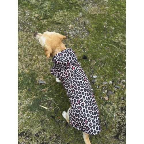 Дождевик-накидка для собак WAUDOG Clothes с капюшоном рисунок "Леопард"