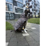 Дождевик-накидка для собак WAUDOG Clothes с капюшоном рисунок "Леопард"