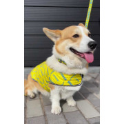 Куртка-накидка для собак WAUDOG Clothes, рисунок «Сміливість» - фото 5